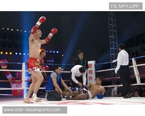 杨磊深度解析英雄联盟游戏策略与技巧分享，助你提升竞技水平与团队协作能力